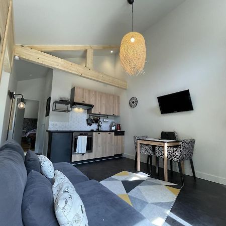 Ginkobiloba : Appartement Cosy En Coeur De Ville Bagnères-de-Bigorre Eksteriør bilde