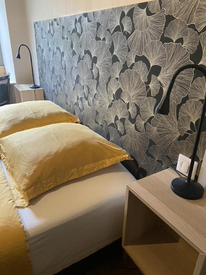 Ginkobiloba : Appartement Cosy En Coeur De Ville Bagnères-de-Bigorre Eksteriør bilde